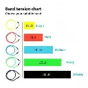 5 Bande D'exercices De Résistance Avec Accessoires marchinettn7.webp